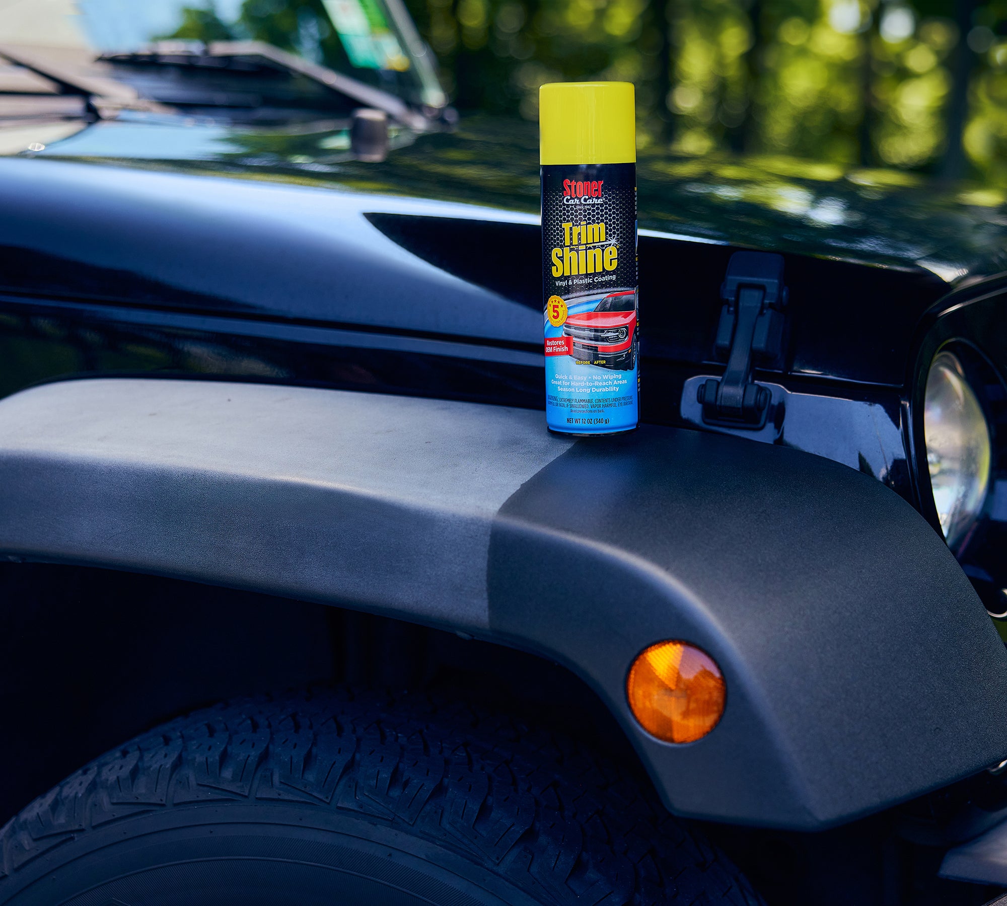 Stoner Car Care Trim Shine (Aerosol)